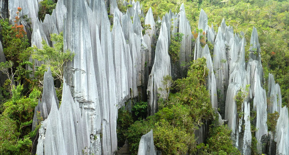 4D3N Long Bedian / Guided Walk Around The Village Of Long Bedian & Mulu 4 Show Caves