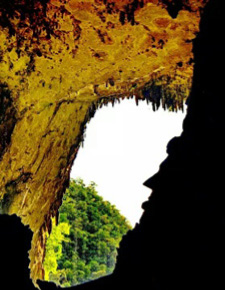 5D4N Mulu Caves, Pinnacles & Headhunter's Trail
