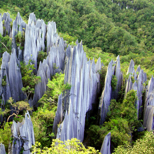 4D3N Mulu - Adventure On The Former Headhunter's Trail