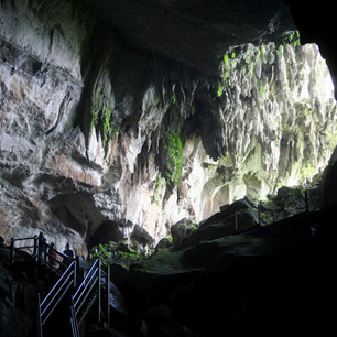 4D3N Mulu Caves & Pinnacles